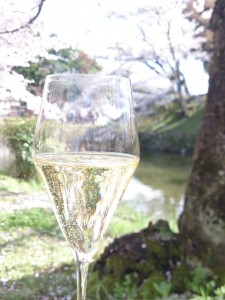 ﾋﾟｸﾆｯｸ♪