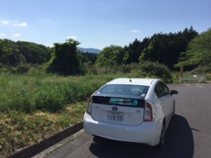 カミキハラの日常業務(￣∠ ￣ )ﾉ