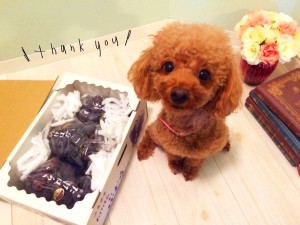 ぶどう・・・✿