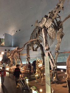 福井恐竜博物館４