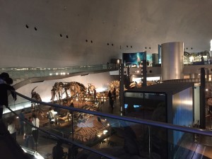 福井恐竜博物館２